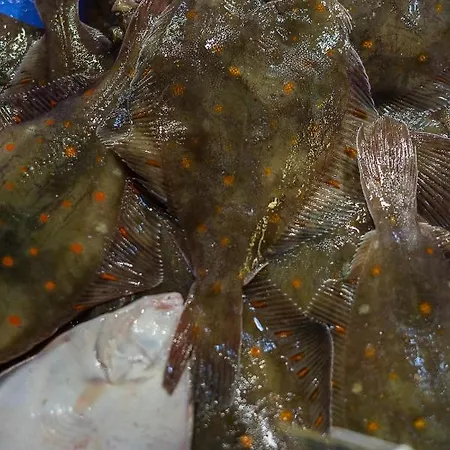 Appartamento 2 Pièces Port Cabourg - 2 à 4 Personnes - 34 M2 - Balcon - Vue Port - Exclusif !