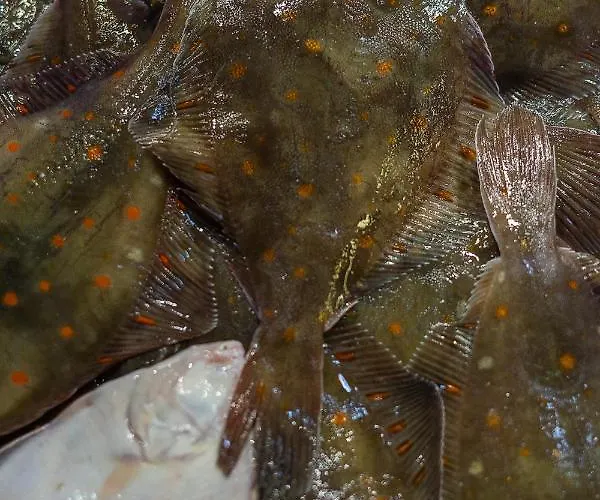 Apartament 2 Pieces Port Cabourg - 2 A 4 Personnes - 34 M2 - Balcon - Vue Port - Proche